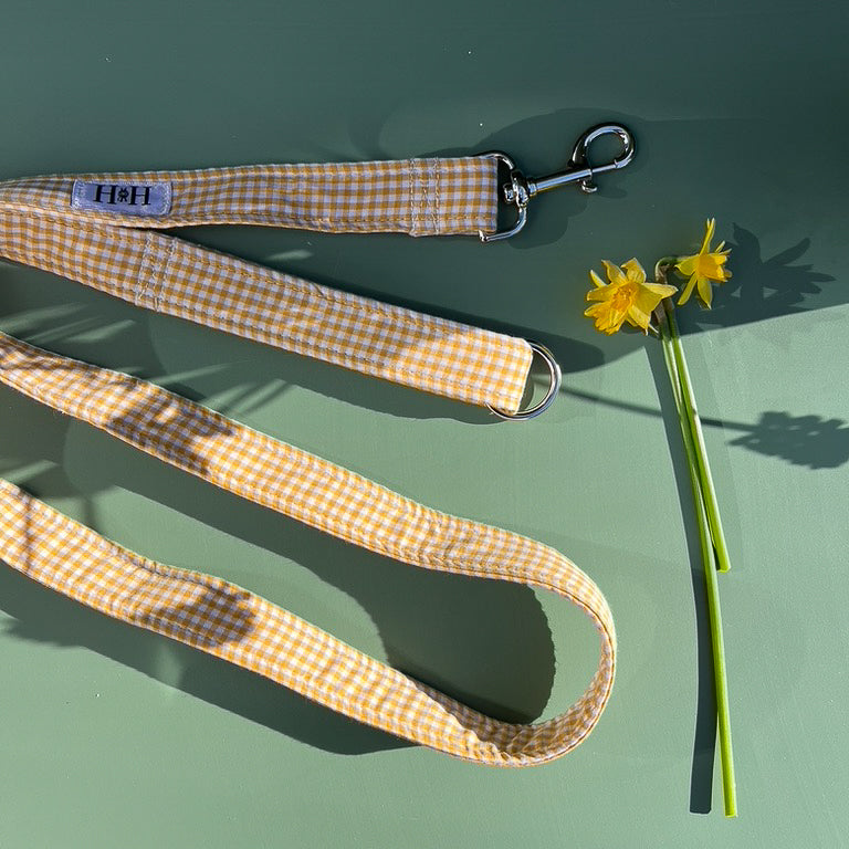 Yellow Gingham Dog Lead / Leash